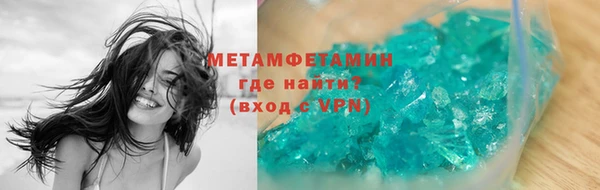 прущие грибы Семилуки