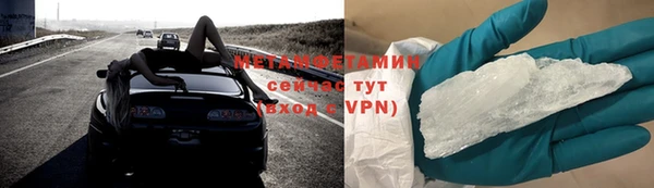 прущие грибы Семилуки