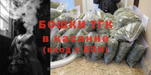 прущие грибы Семилуки