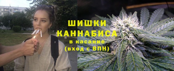 прущие грибы Семилуки