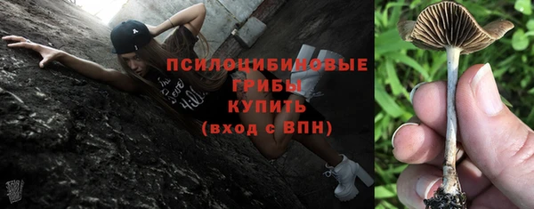 прущие грибы Семилуки