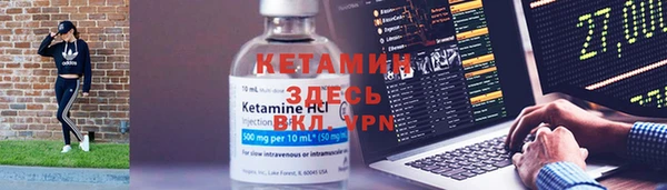 прущие грибы Семилуки